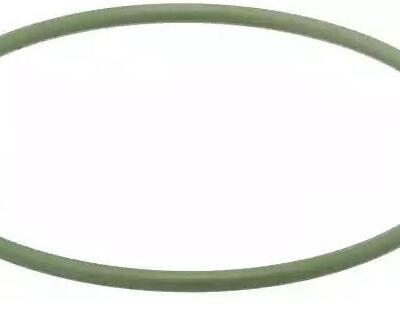 TORIC SEAL 63X2,5-FPM1-70-GN